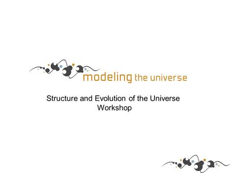 Structure and Evolution of the Universe Workshop.