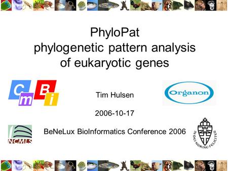 PhyloPat phylogenetic pattern analysis of eukaryotic genes Tim Hulsen 2006-10-17 BeNeLux BioInformatics Conference 2006.