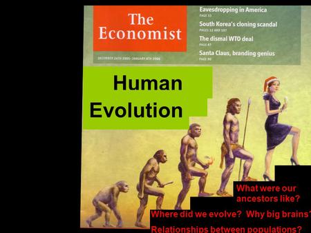 Human Evolution What were our ancestors like? Where did we evolve? Why big brains? Relationships between populations?