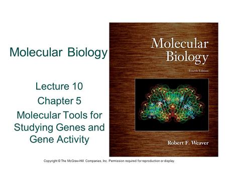 Molecular Biology Lecture 10 Chapter 5 Molecular Tools for Studying Genes and Gene Activity Copyright © The McGraw-Hill Companies, Inc. Permission required.