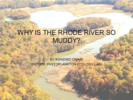 WHY IS THE RHODE RIVER SO MUDDY? BY KWADWO OMARI (INTERN: PHYTOPLANKTON ECOLOGY LAB)