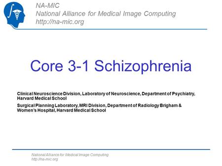National Alliance for Medical Image Computing  Core 3-1 Schizophrenia NA-MIC National Alliance for Medical Image Computing