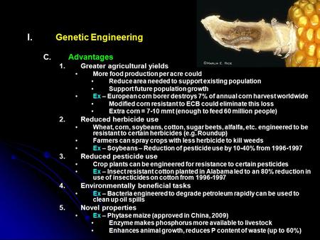 I. I.Genetic Engineering C. C.Advantages 1. 1.Greater agricultural yields More food production per acre could Reduce area needed to support existing population.
