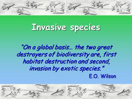 Invasive species “On a global basis… the two great destroyers of biodiversity are, first habitat destruction and second, invasion by exotic species.” E.O.