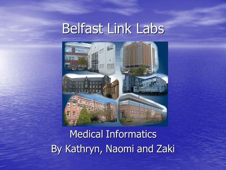 Belfast Link Labs Medical Informatics By Kathryn, Naomi and Zaki.