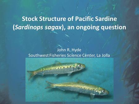 Stock Structure of Pacific Sardine (Sardinops sagax), an ongoing question John R. Hyde Southwest Fisheries Science Center, La Jolla.