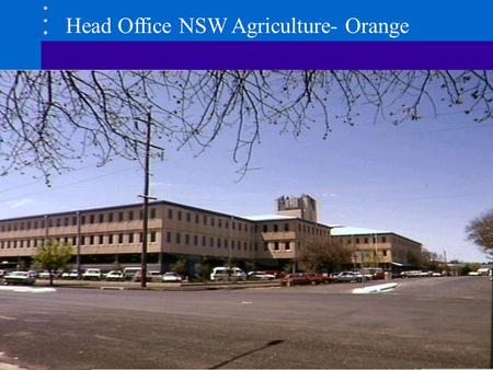 Head Office NSW Agriculture- Orange. Innovative and Internationally Competitive Agricultural Industries Sustainable Management of Natural Resources for.