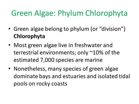 Green Algae: Phylum Chlorophyta Green algae belong to phylum (or “division”) Chlorophyta Most green algae live in freshwater and terrestrial environments;