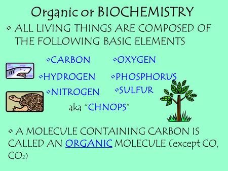 Organic or BIOCHEMISTRY ALL LIVING THINGS ARE COMPOSED OF THE FOLLOWING BASIC ELEMENTS CARBON HYDROGEN OXYGEN NITROGEN A MOLECULE CONTAINING CARBON IS.