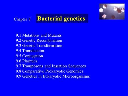 Bacterial genetics Chapter Mutations and Mutants