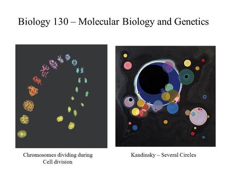 Biology 130 – Molecular Biology and Genetics Kandinsky – Several CirclesChromosomes dividing during Cell division.