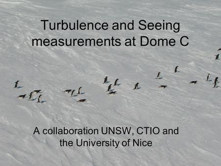 Turbulence and Seeing measurements at Dome C A collaboration UNSW, CTIO and the University of Nice.