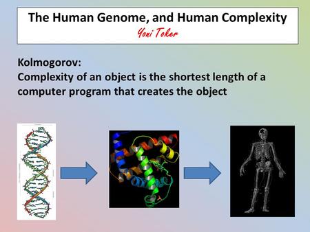 Kolmogorov: Complexity of an object is the shortest length of a computer program that creates the object The Human Genome, and Human Complexity Yoni Toker.