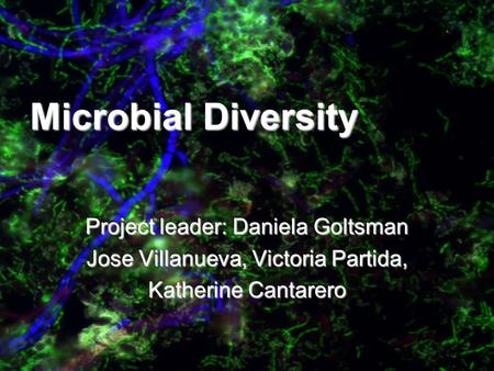 Microbial Diversity Project leader: Daniela Goltsman