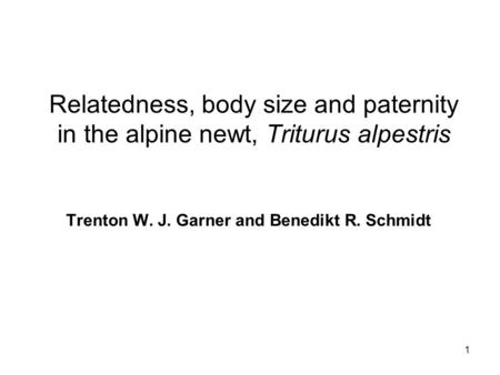 1 Relatedness, body size and paternity in the alpine newt, Triturus alpestris Trenton W. J. Garner and Benedikt R. Schmidt.
