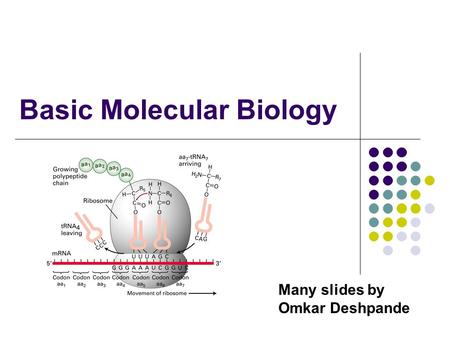 Basic Molecular Biology Many slides by Omkar Deshpande.
