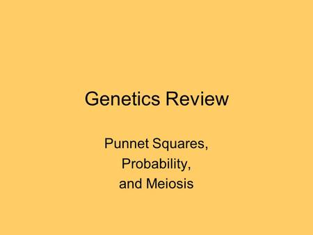 Genetics Review Punnet Squares, Probability, and Meiosis.
