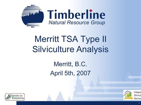 1 Merritt TSA Type II Silviculture Analysis Merritt, B.C. April 5th, 2007.