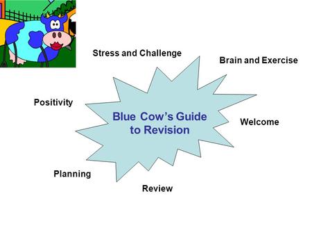 Blue Cow’s Guide to Revision Welcome Brain and Exercise Stress and Challenge Positivity Planning Review.