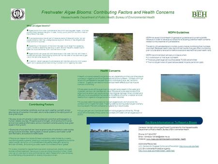 Freshwater Algae Blooms: Contributing Factors and Health Concerns Massachusetts Department of Public Health, Bureau of Environmental Health What are algae.