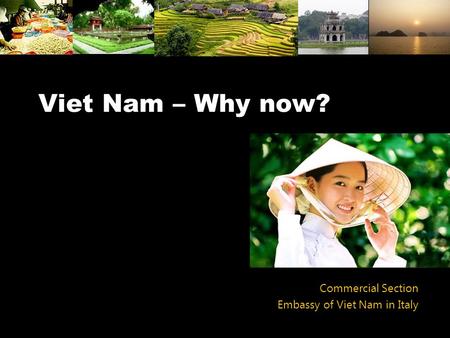 Viet Nam – Why now? Commercial Section Embassy of Viet Nam in Italy.