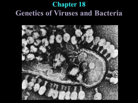 Chapter 18 Genetics of Viruses and Bacteria. Viruses: are much smaller than bacteria consist of a genome in a protective coat reproduce only within host.