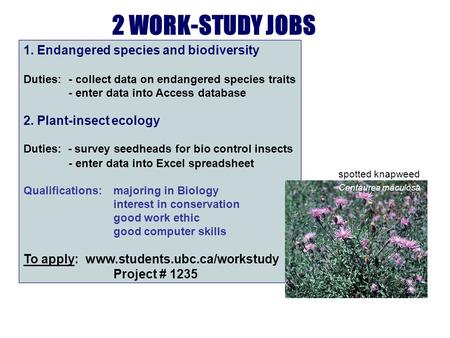 2 WORK-STUDY JOBS 1. Endangered species and biodiversity Duties: - collect data on endangered species traits - enter data into Access database 2. Plant-insect.