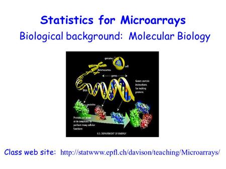 Biological background: Molecular Biology Class web site:  Statistics for Microarrays.
