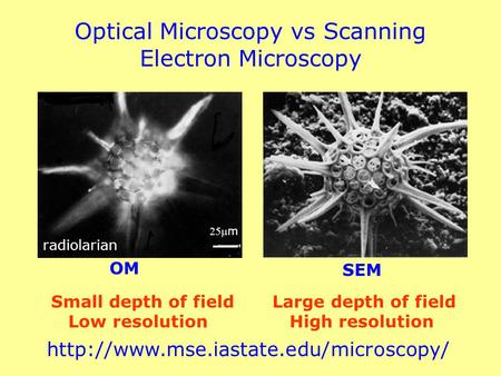 Optical Microscopy vs Scanning Electron Microscopy