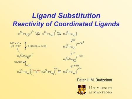 Ligand Substitution Reactivity of Coordinated Ligands Peter H.M. Budzelaar.