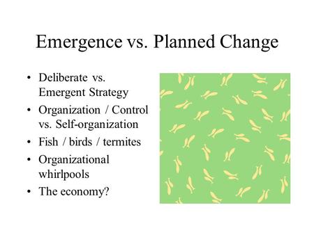 Emergence vs. Planned Change Deliberate vs. Emergent Strategy Organization / Control vs. Self-organization Fish / birds / termites Organizational whirlpools.
