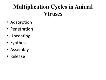 Multiplication Cycles in Animal Viruses