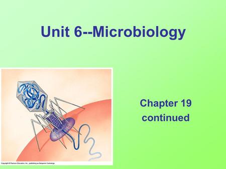 Unit 6--Microbiology Chapter 19 continued. Viruses Hard to classify as living, because: Contain only a protein coat (capsid) and a nucleic acid core (DNA.