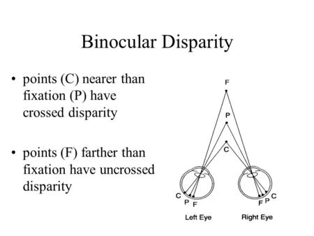 Binocular Disparity points (C) nearer than fixation (P) have crossed disparity points (F) farther than fixation have uncrossed disparity.