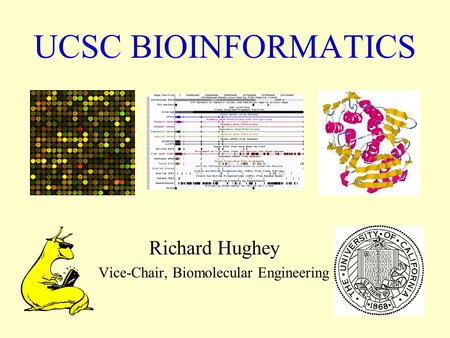 UCSC BIOINFORMATICS Richard Hughey Vice-Chair, Biomolecular Engineering.