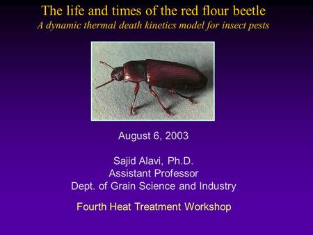 Fourth Heat Treatment Workshop August 6, 2003 Sajid Alavi, Ph.D. Assistant Professor Dept. of Grain Science and Industry The life and times of the red.