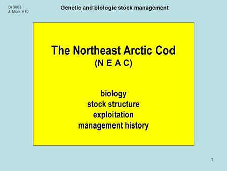 1 BI 3063 J. Mork H10 Genetic and biologic stock management The Northeast Arctic Cod (N E A C) biology stock structure exploitation management history.