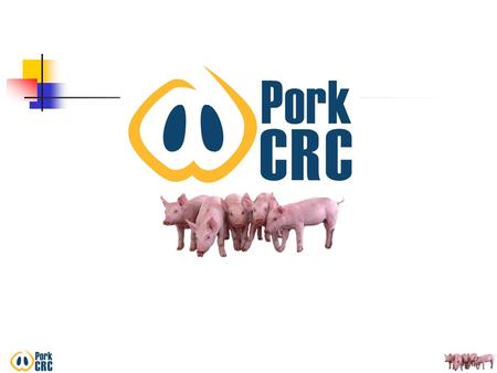 Improving efficiency and cost of production The Profit Equation PROFIT = PRICE – COP ((Feed Price x HFC ) +(Other costs) ) x Volume (pigs sold x weight)