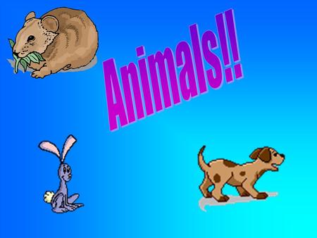 My fav animal is a tiger and A dolphin. Actually I Iove dogs, But I love every animal Made!!