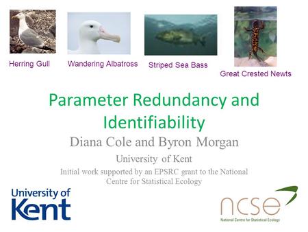 Parameter Redundancy and Identifiability Diana Cole and Byron Morgan University of Kent Initial work supported by an EPSRC grant to the National Centre.