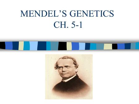 MENDEL’S GENETICS CH. 5-1 How Traits Are Inherited 1.Sex cells with a haploid number of chromosomes are united during fertilization to form a zygote.
