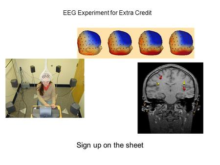 EEG Experiment for Extra Credit Sign up on the sheet.
