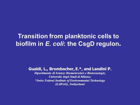 Transition from planktonic cells to biofilm in E. coli: the CsgD regulon. Gualdi, L., Brombacher, E.*, and Landini P. Dipartimento di Scienze Biomolecolari.