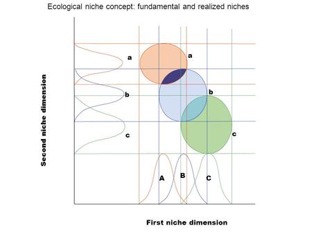 A b c a b c A B C First niche dimension Second niche dimension Ecological niche concept: fundamental and realized niches.