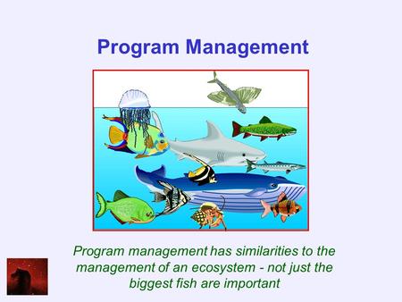 Program Management Program management has similarities to the management of an ecosystem - not just the biggest fish are important.