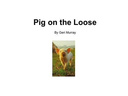 Pig on the Loose By Geri Murray. Tim and Jan were glad to hear the news. “Dad and I will be going on a cruise in June,” said Mom. “Aunt Sue will stay.