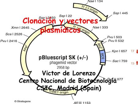 Clonación y vectores plasmídicos Victor de Lorenzo Centro Nacional de Biotecnología CSIC, Madrid (Spain)