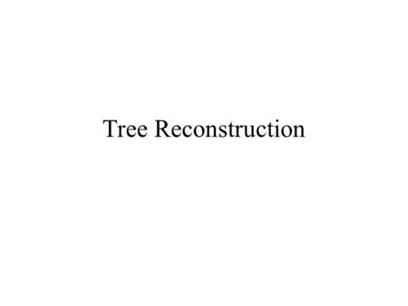 Tree Reconstruction.