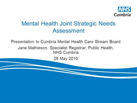 Mental Health Joint Strategic Needs Assessment