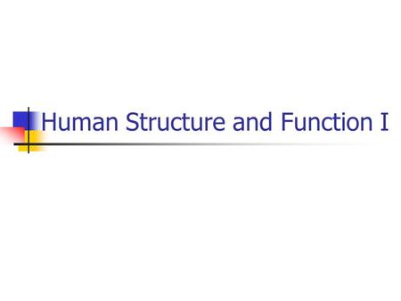 Human Structure and Function I. Dr. Diane M. Gilmore LSE 415 Phone: 680-8083